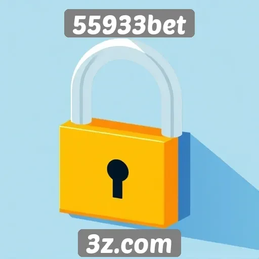 Recursos de segurança do site 55933bet
